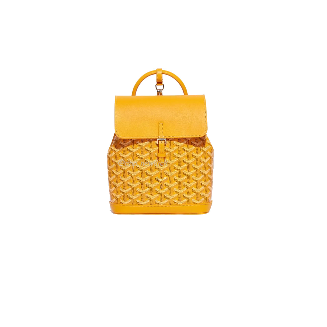 Goyard Alpin Mini Backpack 23 Cm X 9.5 Cm X 19 Cm (11) - newkick.app